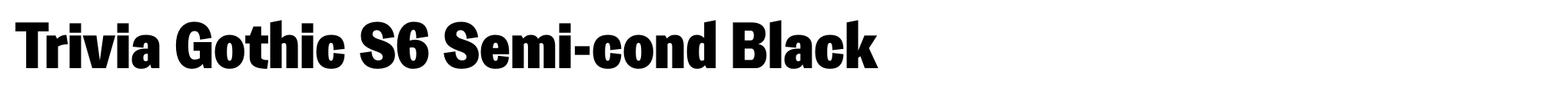 Trivia Gothic S6 Semi-cond Black image